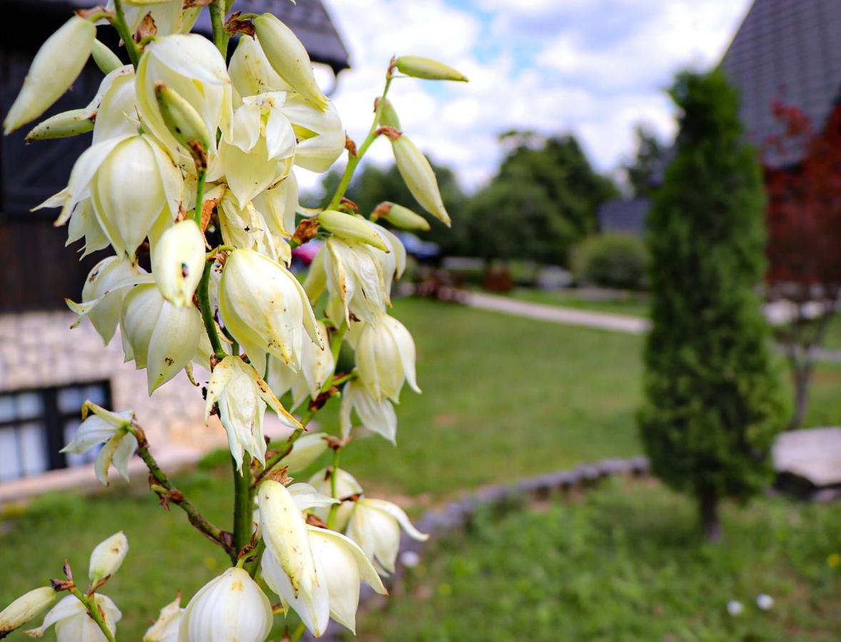 普利特维察埃特诺花园豪华酒店 Plitvička Jezera 外观 照片